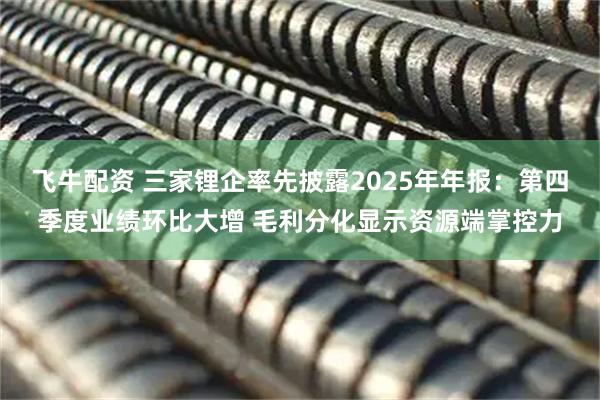 飞牛配资 三家锂企率先披露2025年年报:第四季度业绩环比大增 毛利分化显示资源端掌控力