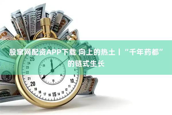 股窜网配资APP下载 向上的热土丨“千年药都”的链式生长