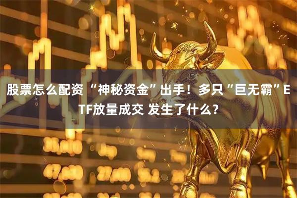 股票怎么配资 “神秘资金”出手！多只“巨无霸”ETF放量成交 发生了什么？